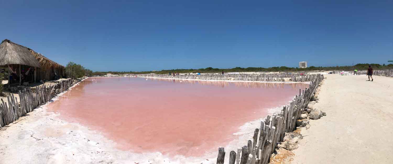 Laguna Rosada Zona de Flamingos en Yucatán, ¿por qué tiene ese color
