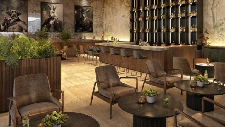 Bar en Desarrollo de Terrenos Residenciales Silvestre
