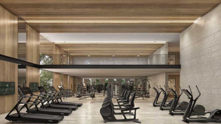 Gimnasio en Desarrollo de Terrenos Residenciales Silvestre