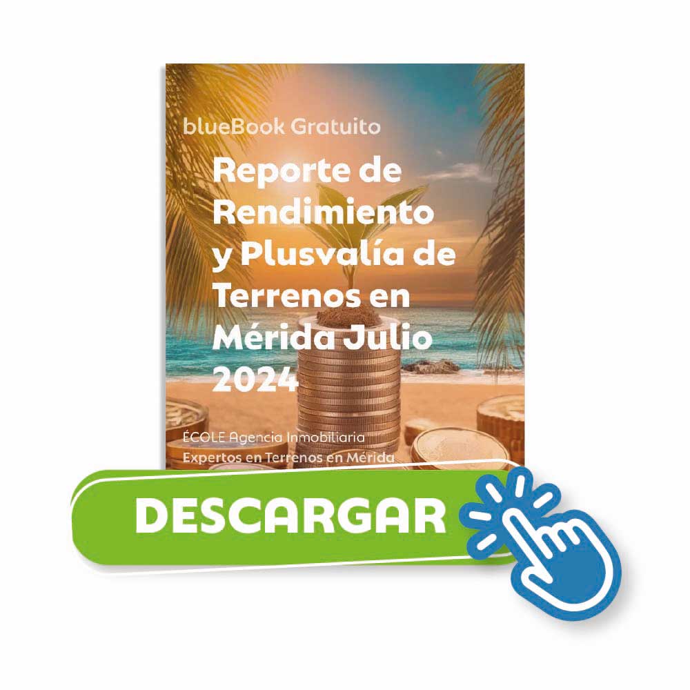 Reporte de Rendimiento y Plusvalía Julio 2024