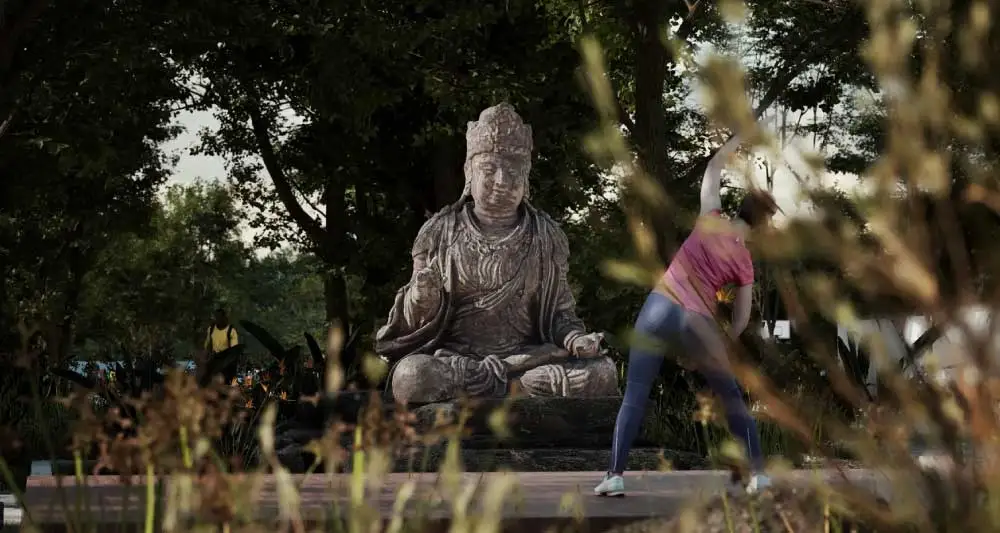 Jardin Zen en Desarrollo Punta Cometas