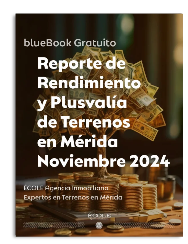 Portada Reporte Noviembre 2024