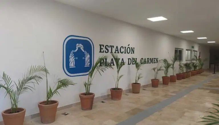 Precios del Tren Maya de Playa del Carmen a Mérida