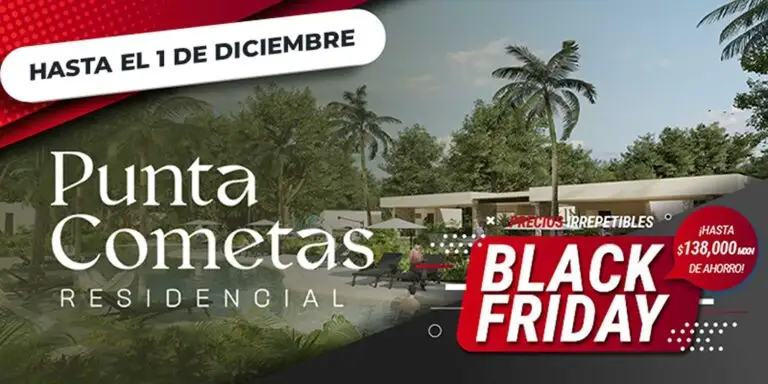 Portada Promos Black Friday 2024 Punta Cometas
