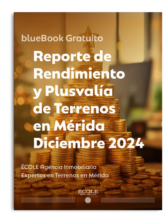 Portada Reporte de Rendimiento y Plusvalía Diciembre 2024