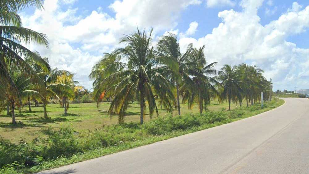 Cayo Coco Terrenos Comerciales a Pie de Carretera