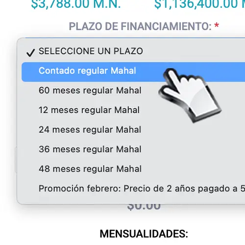 Elige el Plazo de Financiamiento Mahal