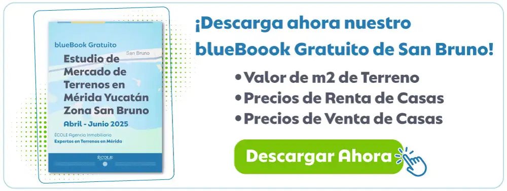 Estudio de Mercado Gratuito para invertir en Terrenos en Mérida en la Zona de San bruno Yucatán