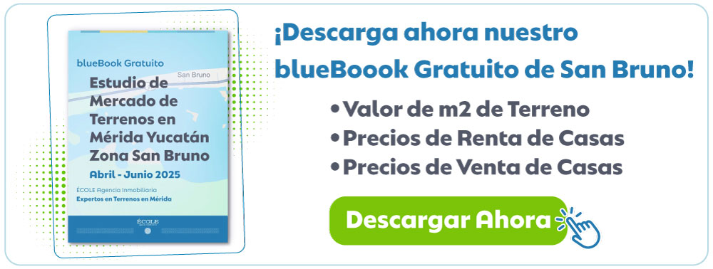 Estudio de Mercado Gratuito para invertir en Terrenos en Mérida en la Zona de San bruno Yucatán