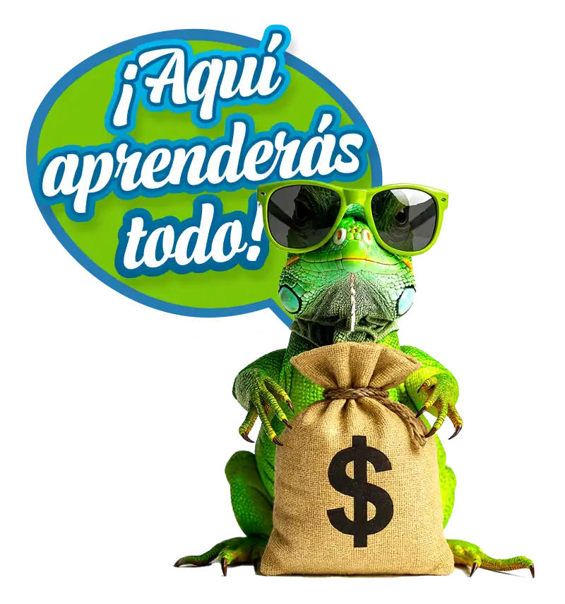 Aquí aprenderás todo sobre los precios de los terrenos en Mérida