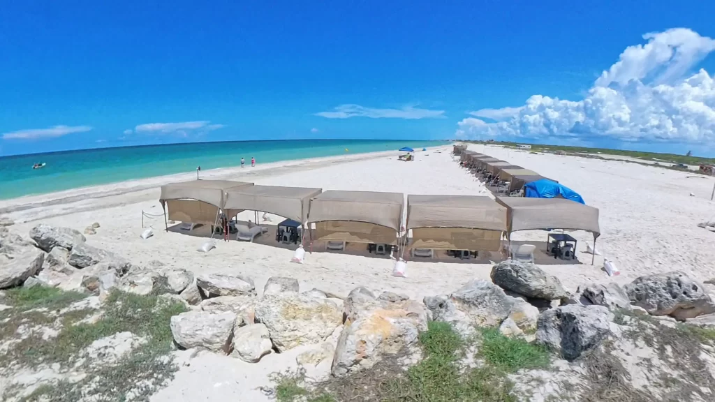 Puedes encontrar toldos para rentar