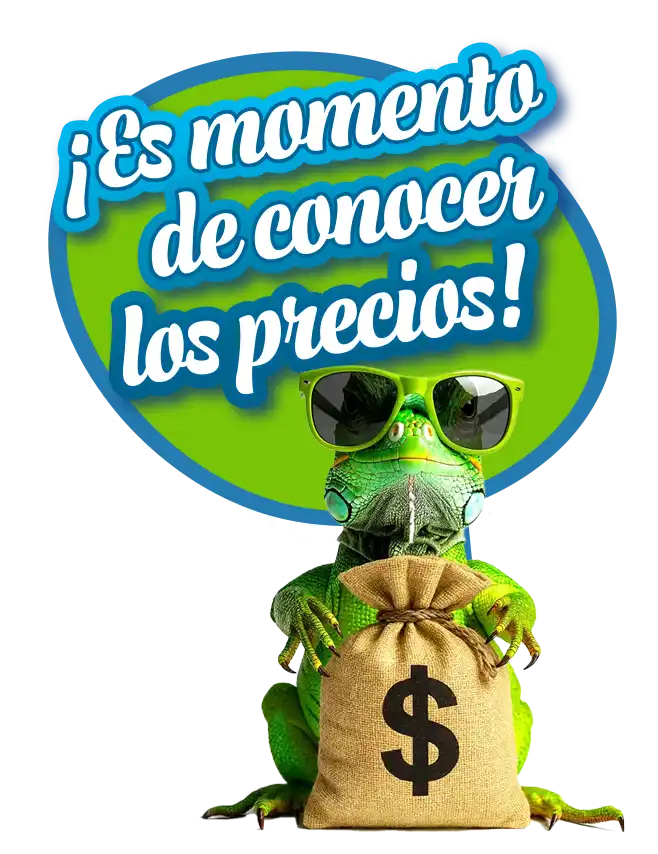 Es momento de conocer los precios Terrenos en Mérida TOLOC