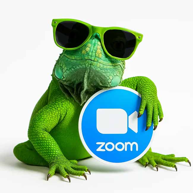 Elige fecha y hora para Recibir tu Asesoría por ZOOM
