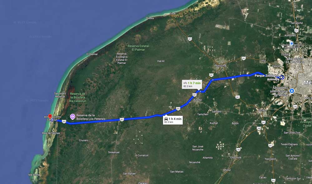 Ruta de Mérida Yucatán a Playa de Celestún