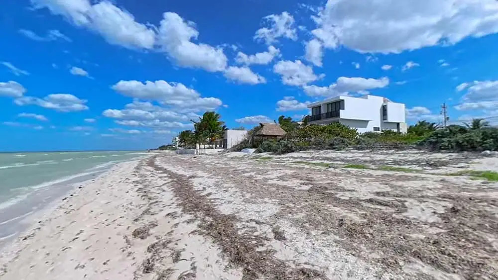¿Cómo es Playa San Benito Yucatán?
