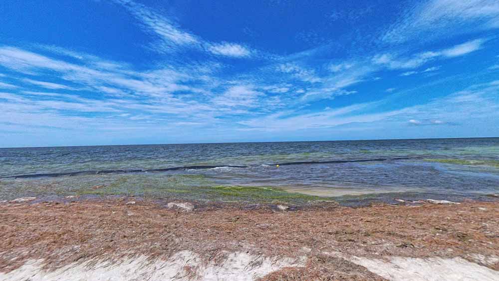 ¿Cómo puedes llegar a San Crisanto desde Mérida, Yucatán?