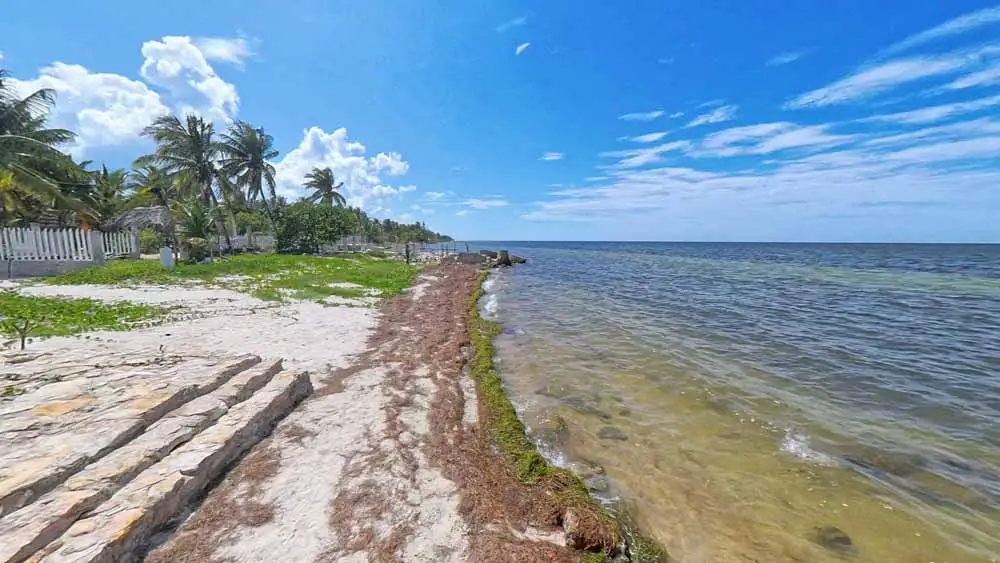 ¿Qué hacer en Playa San Crisanto Yucatán?