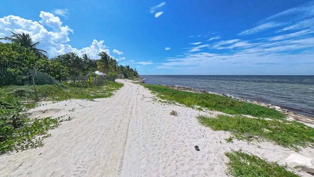 Playa San Crisanto Yucatán: manglares y qué hacer