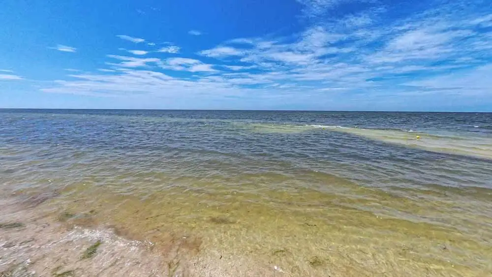 ¿Cómo es Playa San Crisanto Yucatán?