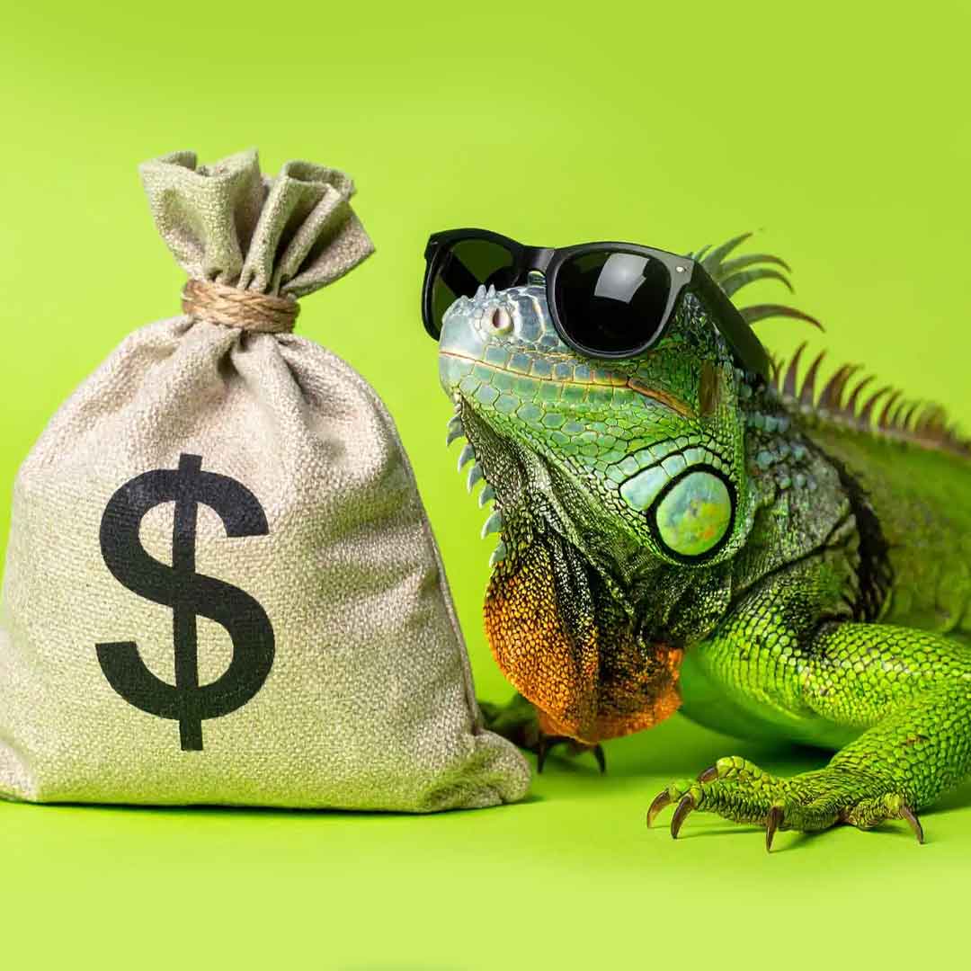 El valor de invertir a tiempo