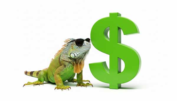 TOLOC ¿Cuánto presupuesto necesitas?