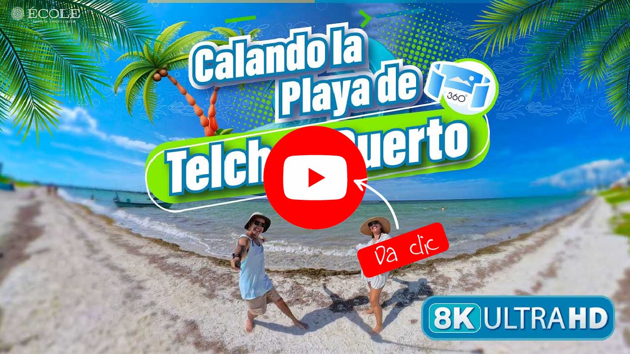 Calando la Playa de Telchac Puerto Yucatán