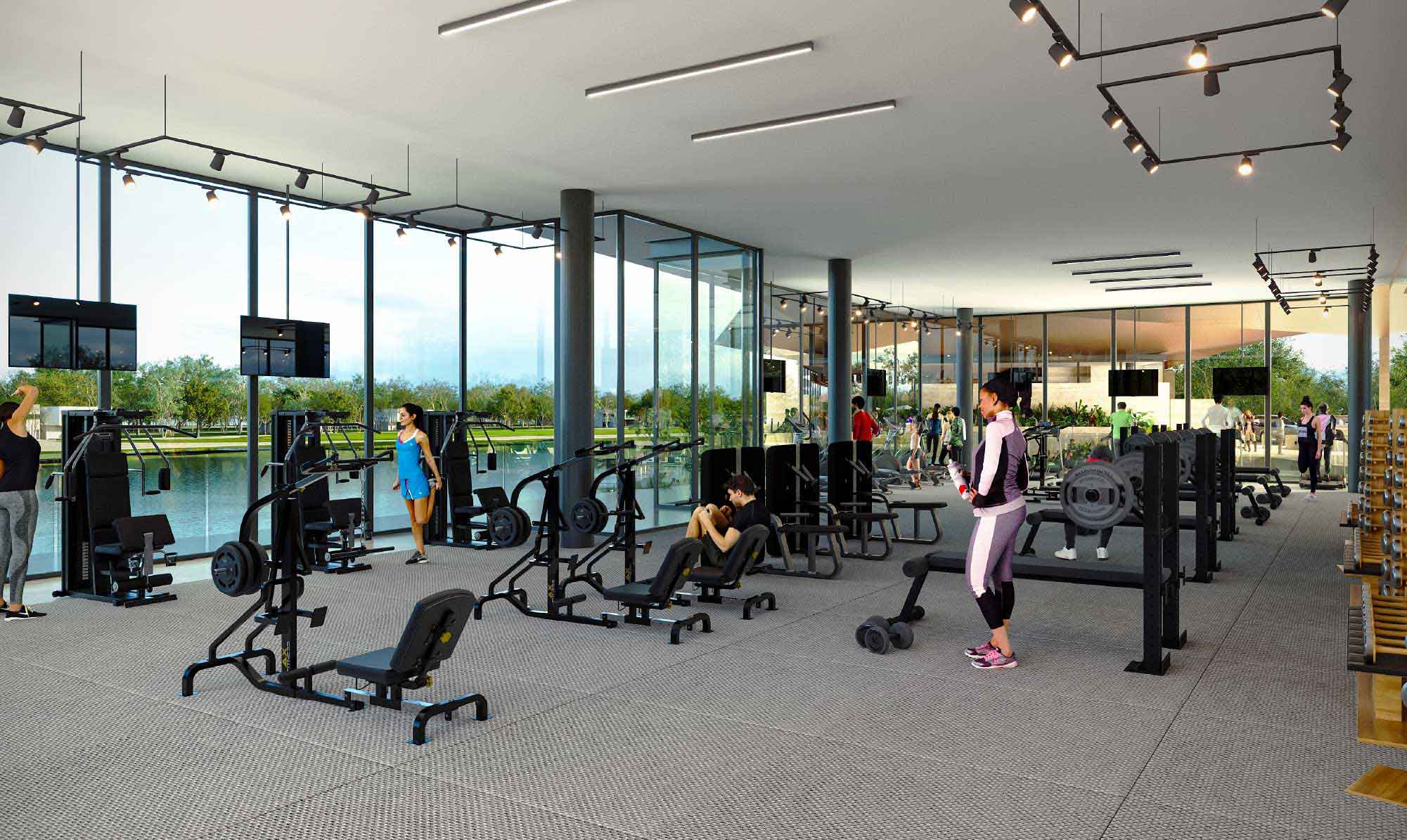 Gimnasio de Gran Provincia
