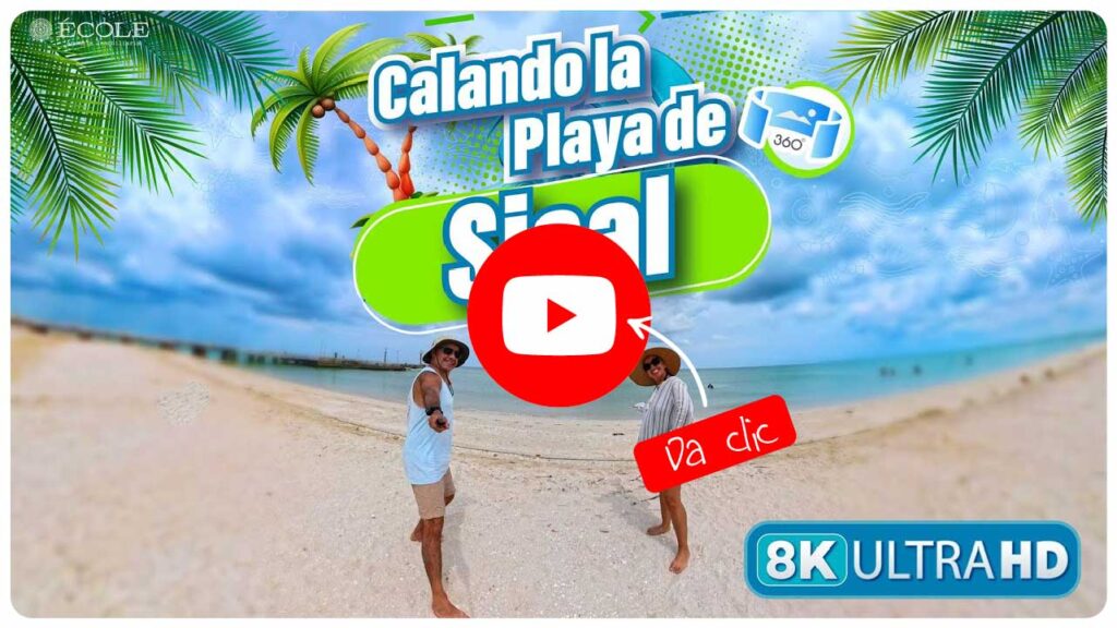 Playa Sisal Yucatán Video Calando Playas de Yucatán