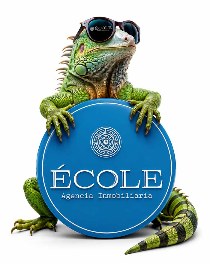 TOLOC ÉCOLE Agencia Inmobiliaria