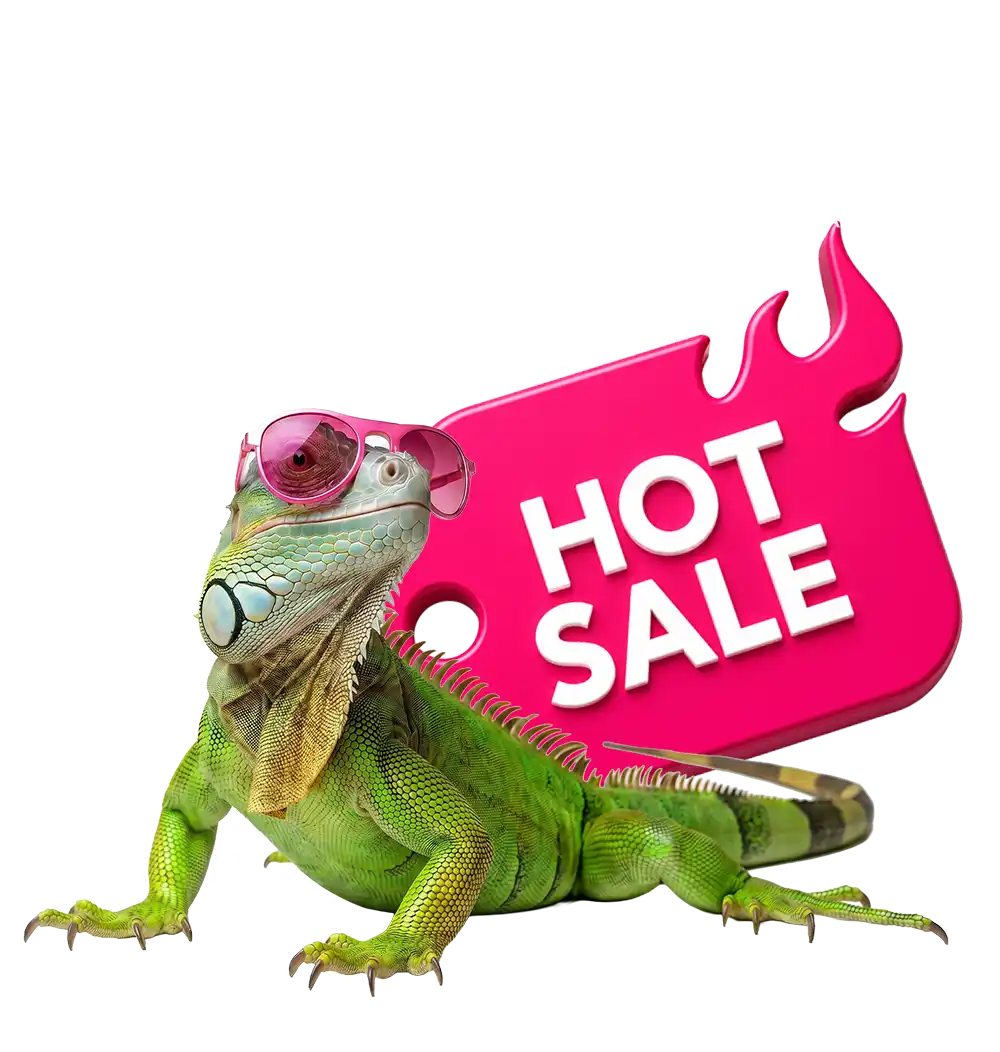 TOLOC Gran Telchac Hot Sale 2026