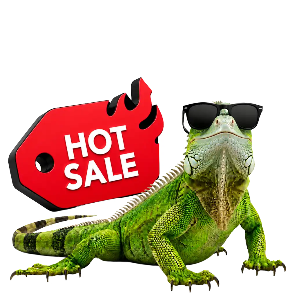 TOLOC Mahal Residencial Hot Sale 2026
