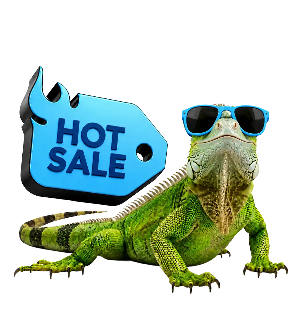 TOLOC Playales Residencial Hot Sale 2026