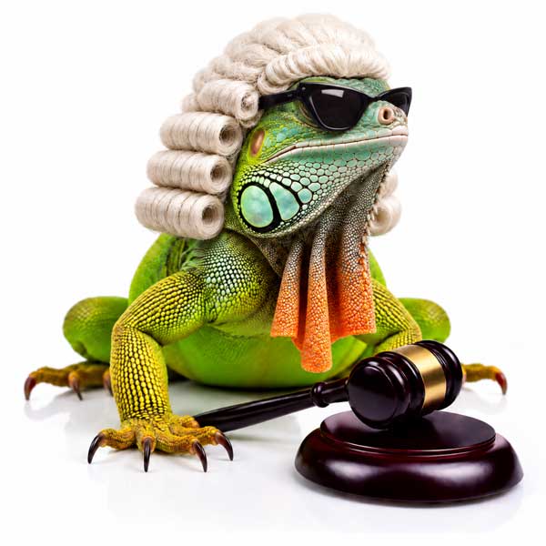 TOLOC Certeza Legal ÉCOLE Agencia Inmobiliaria